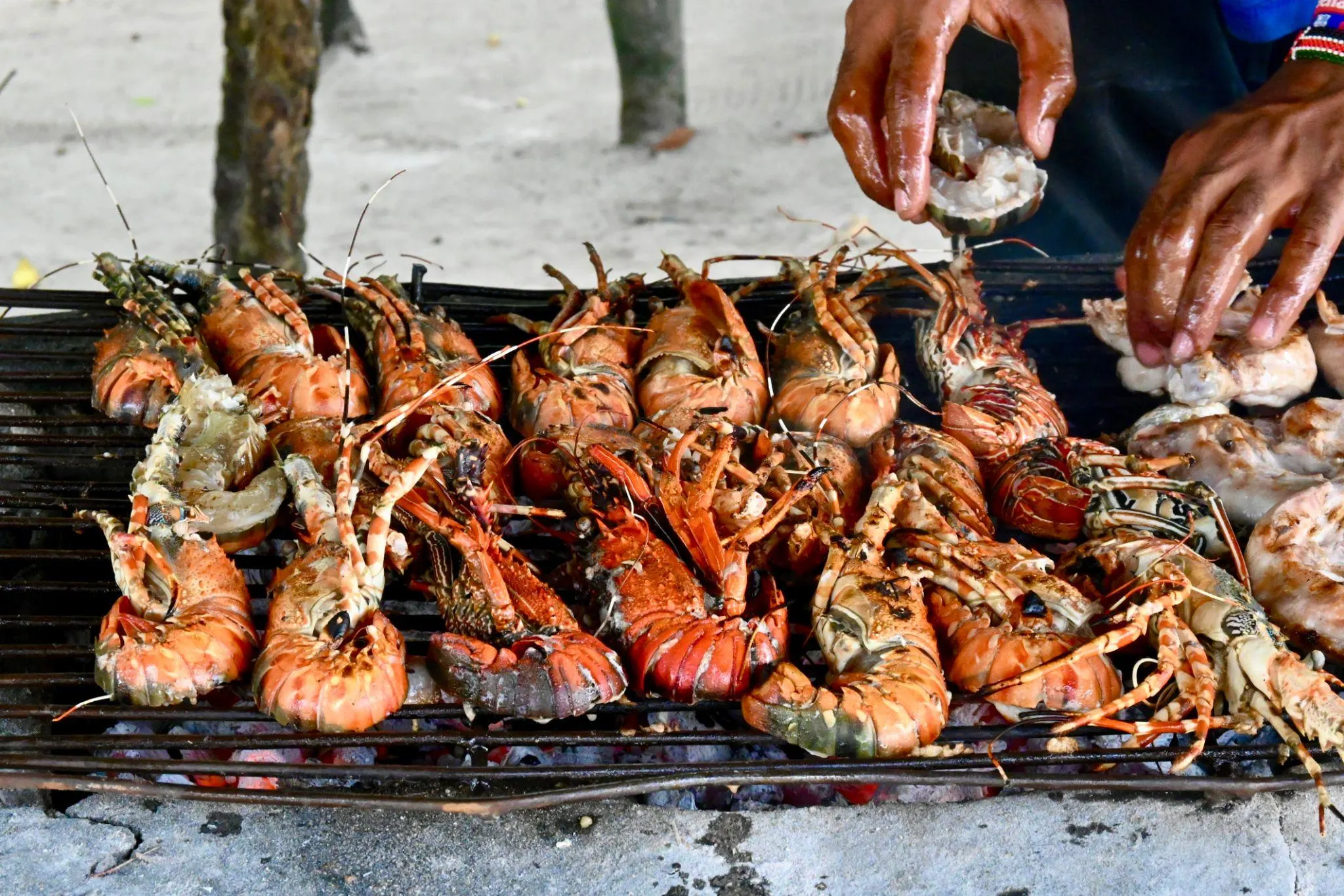 Grilled lobster prawns fish and coconut rice seafood BBQ in Watamu